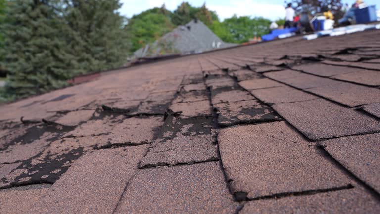 Best Gutter Installation and Repair  in Micco, FL