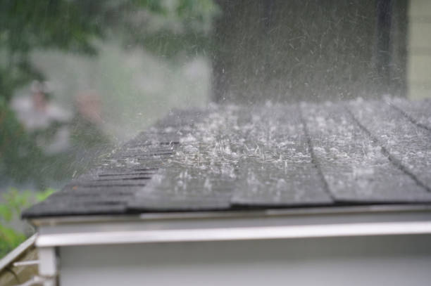 Best Roof Insulation Installation  in Micco, FL