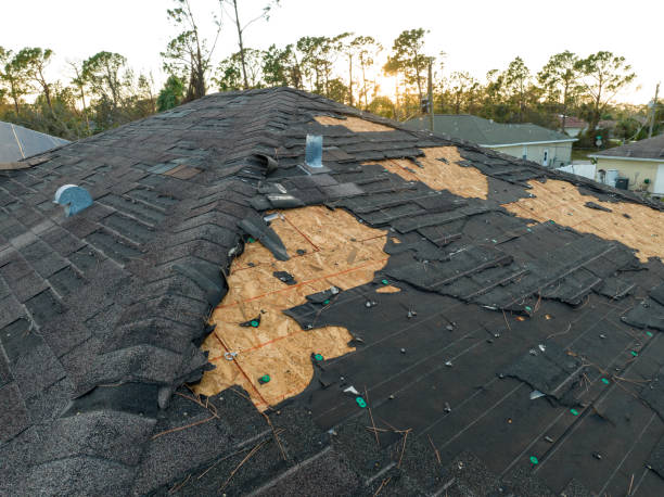 Best Roof Coating and Sealing  in Micco, FL