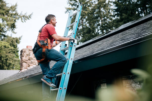 Best Skylight Installation and Repair  in Micco, FL