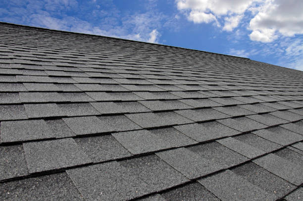 Best Siding  in Micco, FL